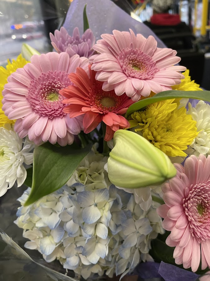 Colorful bouquet with gerberas and hydrangea