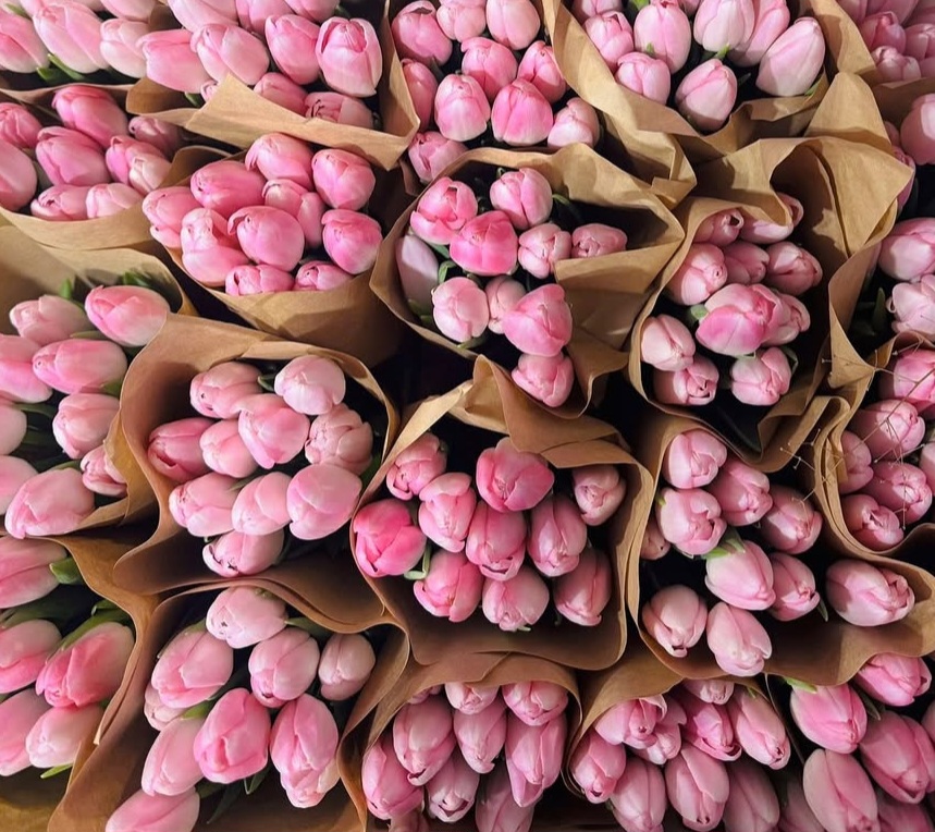 Pink tulip bouquets wrapped in kraft paper