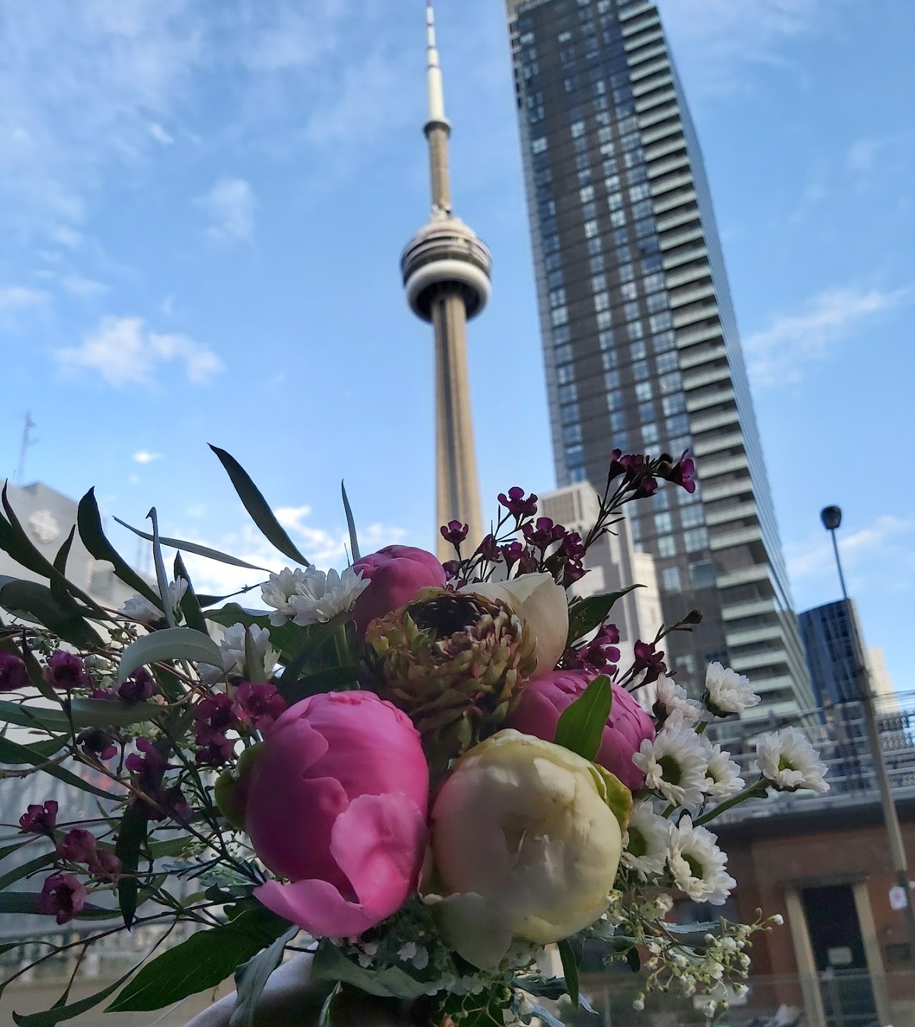 Bouquet held against Toronto skyline and CN Tower